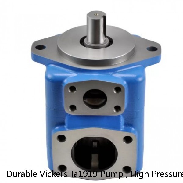 Durable Vickers Ta1919 Pump , High Pressure Pump With Long Lifespan