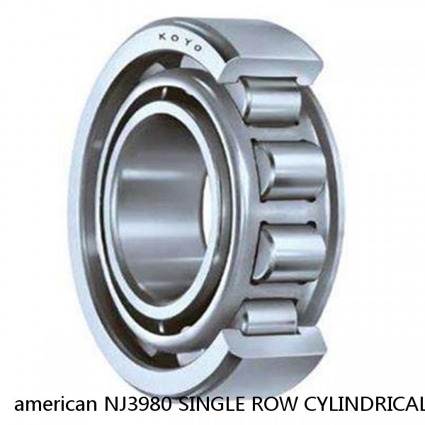 american NJ3980 SINGLE ROW CYLINDRICAL ROLLER BEARING