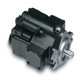 PAKER PV028 R1K1T1NMMC Piston Pump